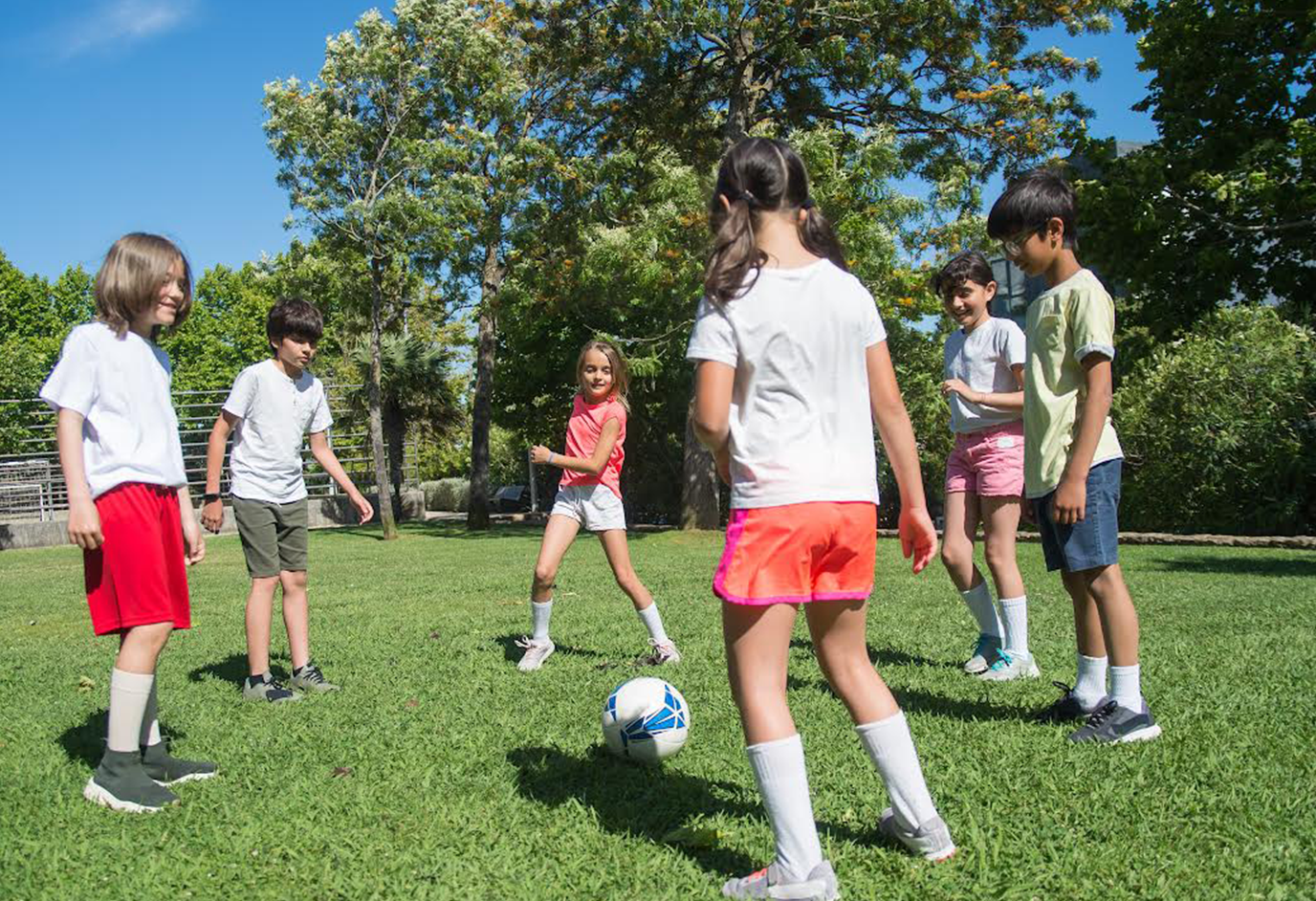 Formación, educación en ocio y deporte