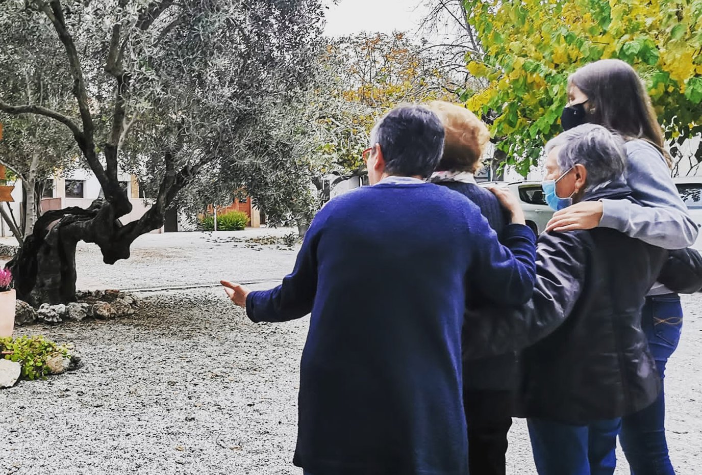 Desarrollo Comunitario